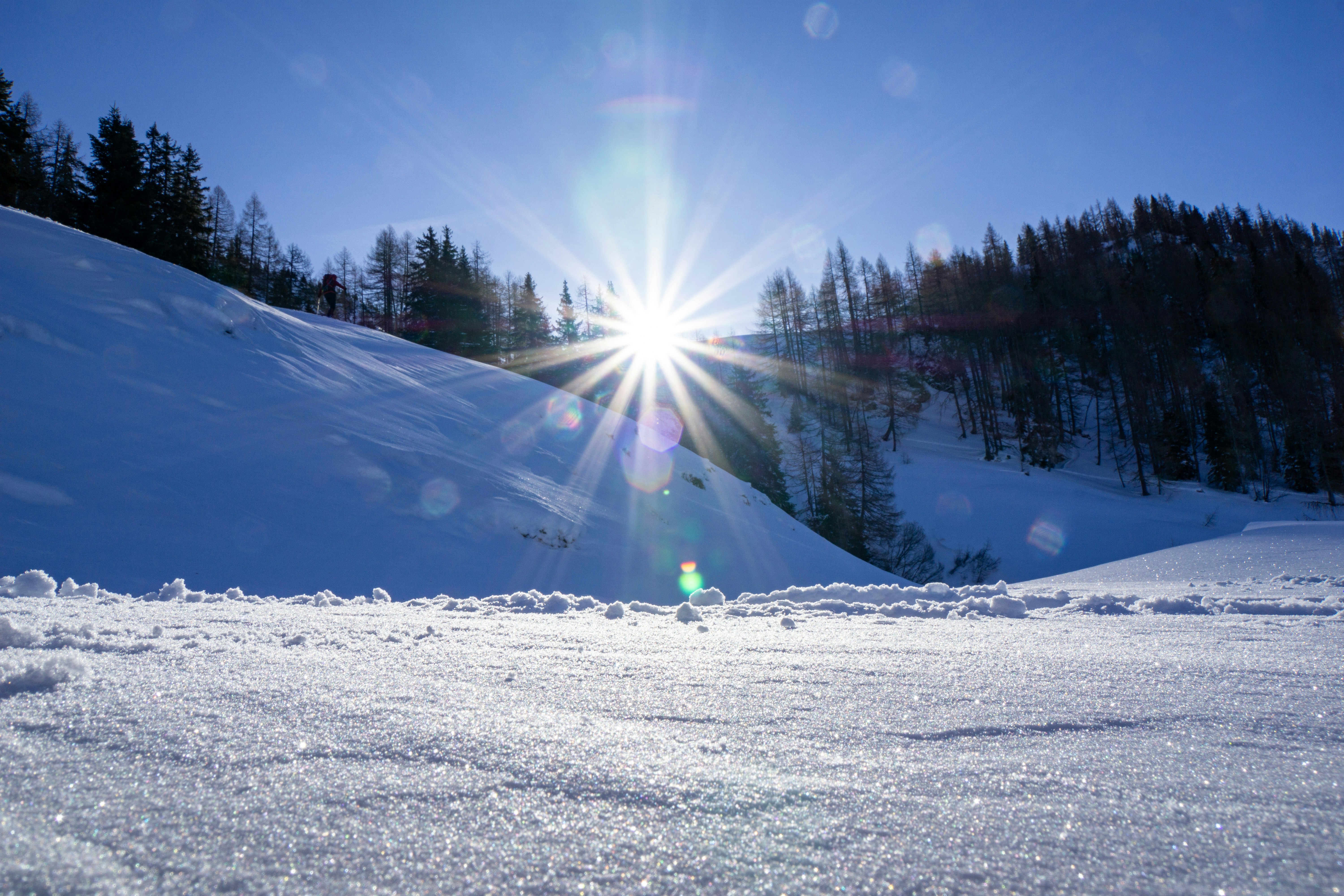Sunburst shining over a snowy Alpine slope, with pine trees silhouetted against a clear blue sky and sparkling snow in the foreground.